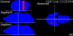 ViBrism