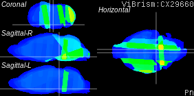 ViBrism