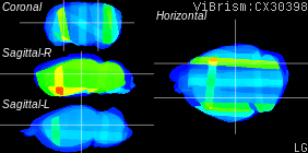 ViBrism
