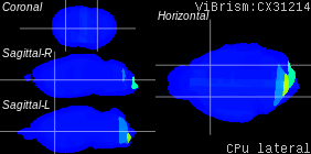 ViBrism