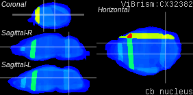 ViBrism