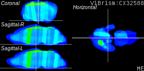 ViBrism