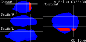 ViBrism